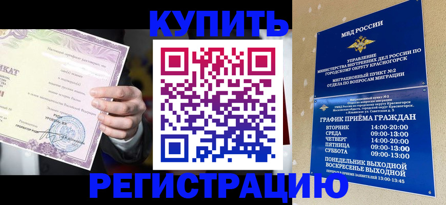 временная регистрация собственник в Брянской области